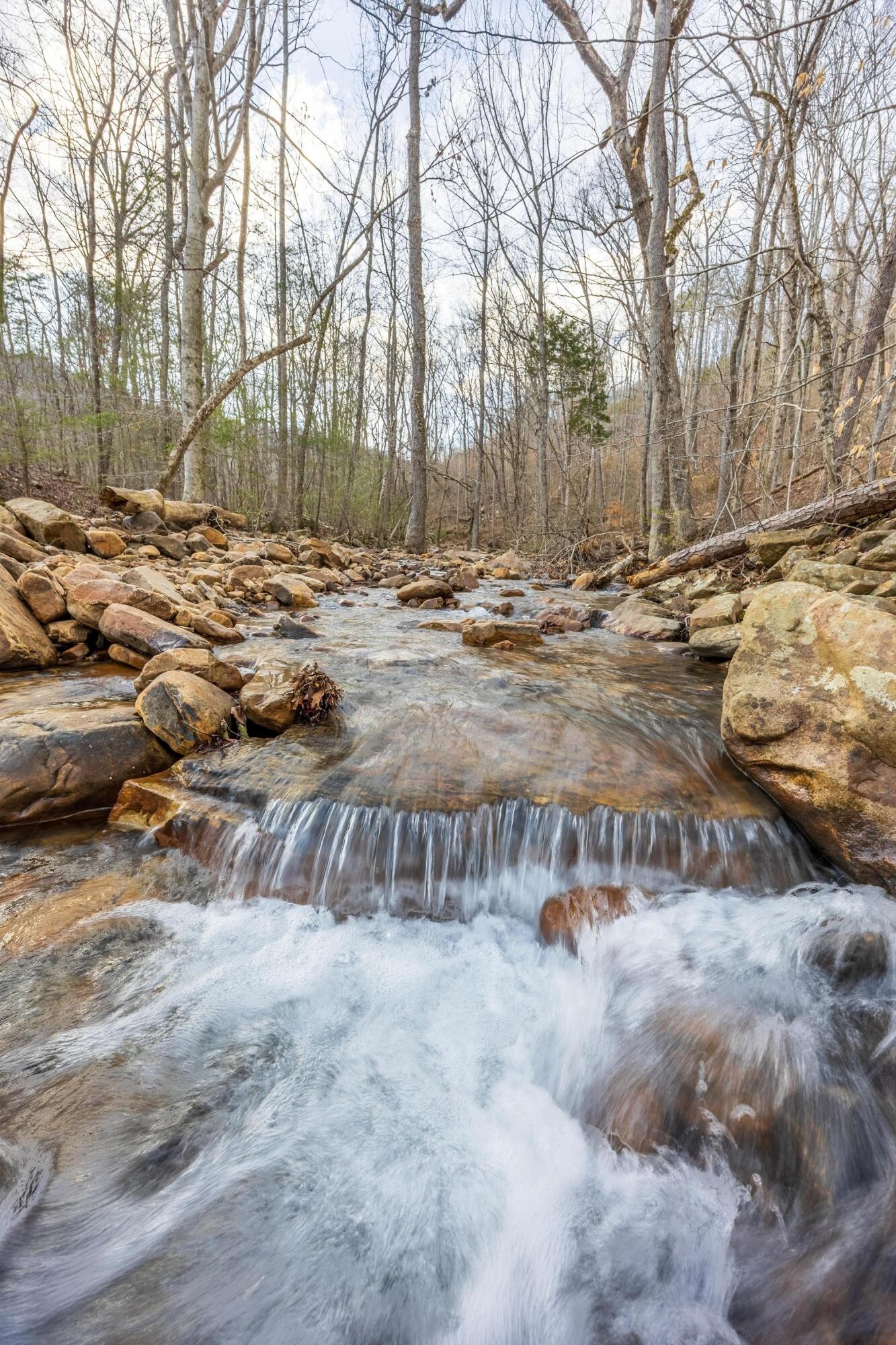 0 Lee Station Mountain Road Pikeville, TN 37367 - Photo 4 of 31 a view of yard covered with snow in front of house