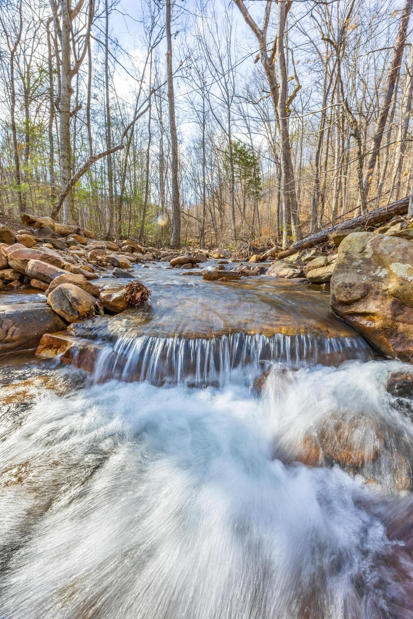 0 Lee Station Mountain Road Pikeville, TN 37367 - Photo 5 of 31 a view of yard covered with snow in front of house