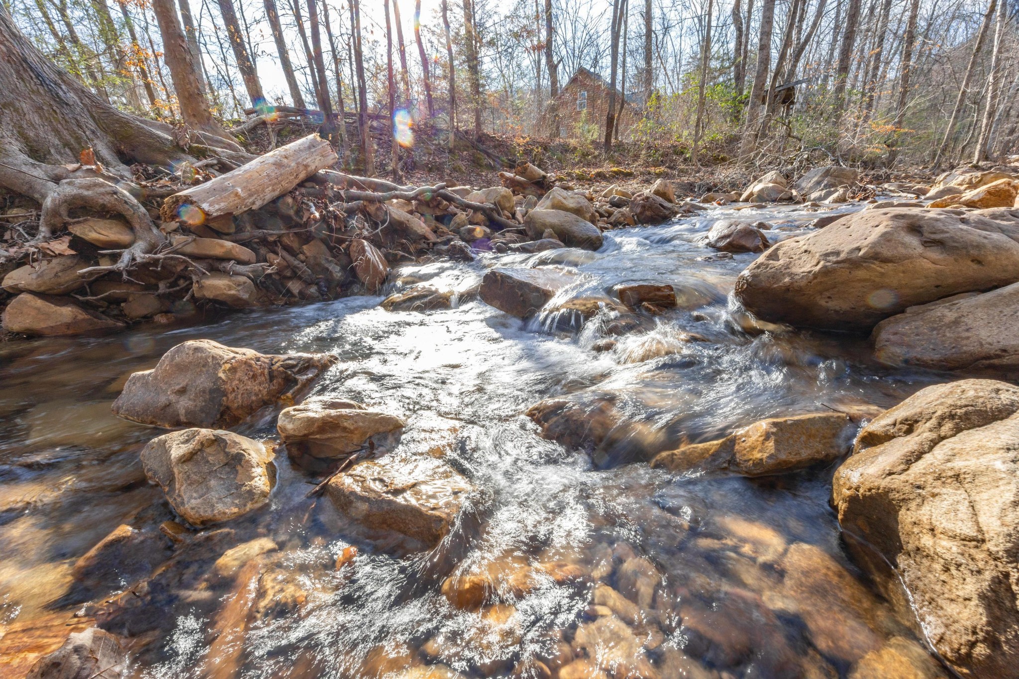 0 Lee Station Mountain Road Pikeville, TN 37367 - Photo 6 of 31 a view of outdoor space