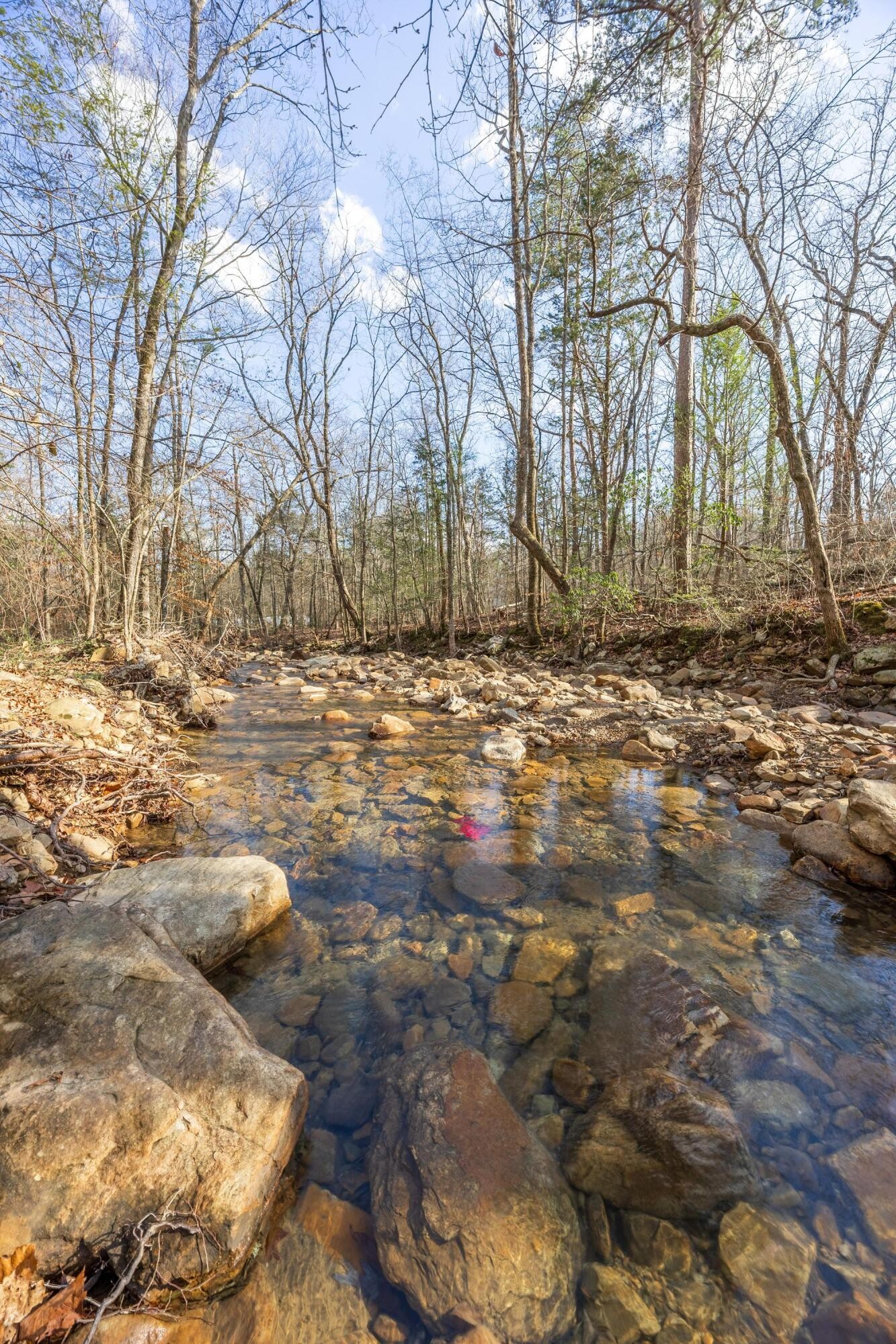 0 Lee Station Mountain Road Pikeville, TN 37367 - Photo 7 of 31 a view of dirt yard with a large tree