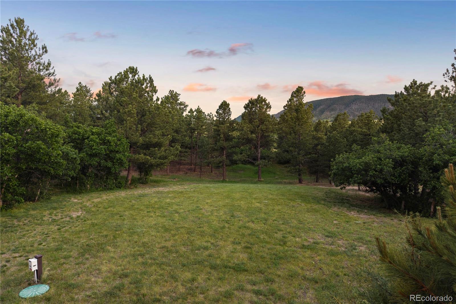 9676 South Perry Park Road Larkspur, CO 80118 - Photo 19 of 47