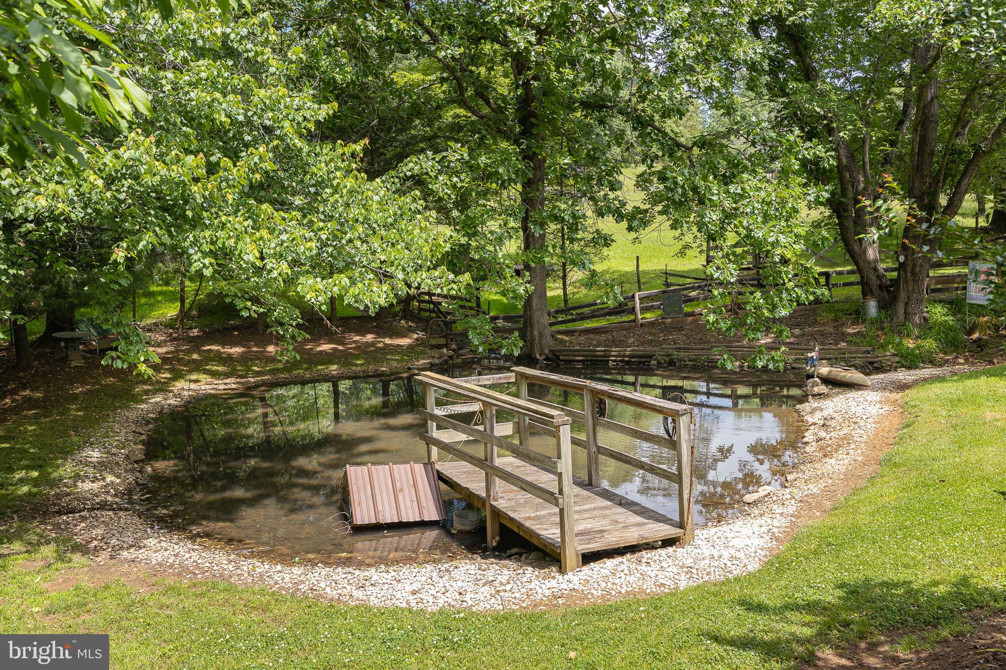 420 Castleton Ford Road Castleton, VA 22716 - Photo 14 of 56 Country Pond