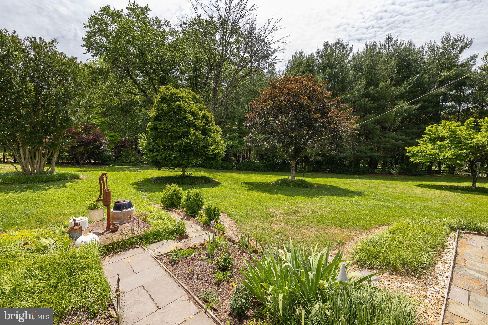 420 Castleton Ford Road Castleton, VA 22716 - Photo 24 of 56 Lots of Landscaping