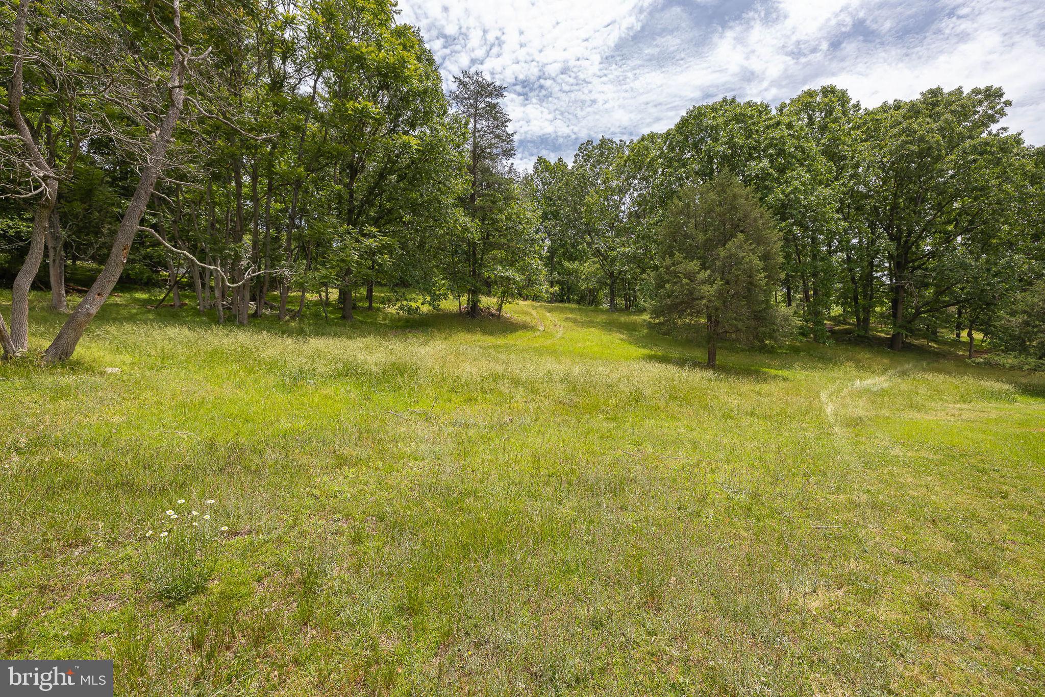 420 Castleton Ford Road Castleton, VA 22716 - Photo 54 of 56
