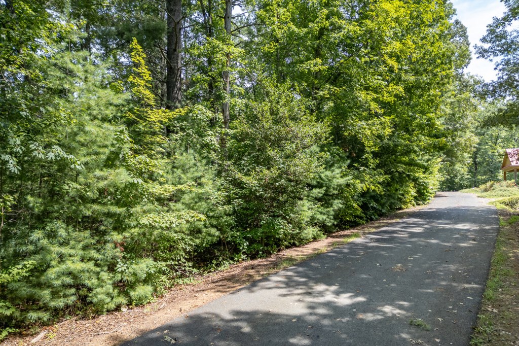 Lot 18 The Ridges Murphy, NC 28906 - Photo 11 of 25