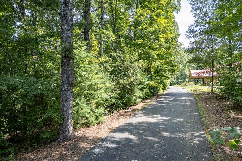 Lot 18 The Ridges Murphy, NC 28906 - Photo 12 of 25