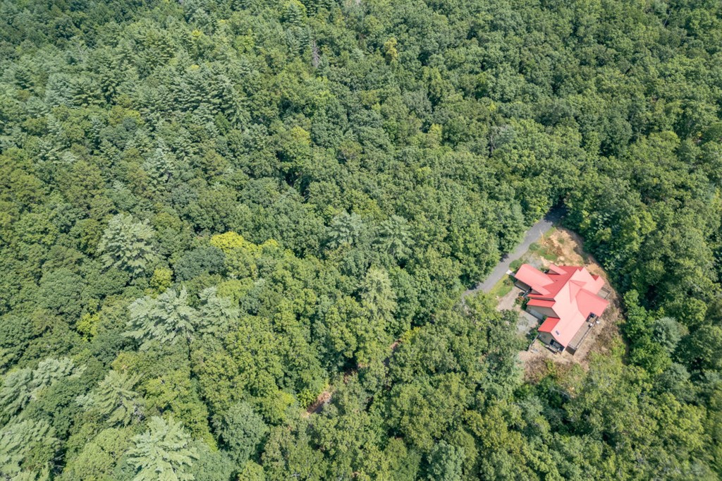 Lot 18 The Ridges Murphy, NC 28906 - Photo 15 of 25