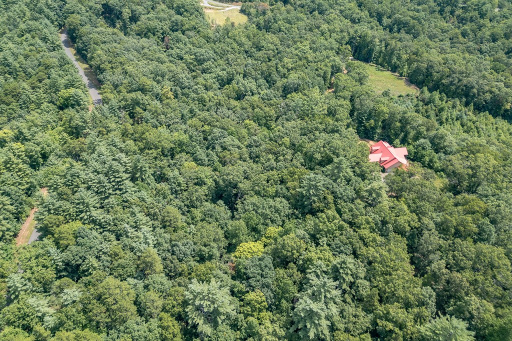 Lot 18 The Ridges Murphy, NC 28906 - Photo 17 of 25