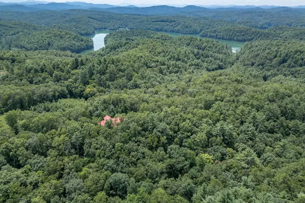 a view of a lush green hillside and a houses