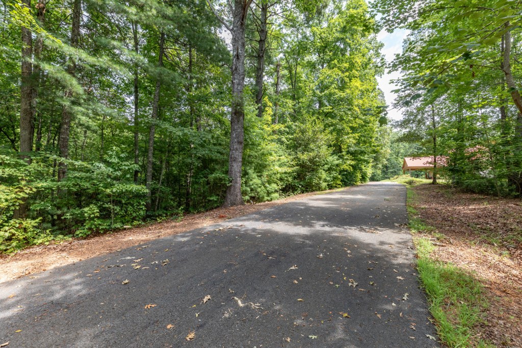 Lot 18 The Ridges Murphy, NC 28906 - Photo 2 of 25