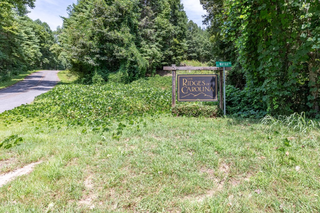 Lot 18 The Ridges Murphy, NC 28906 - Photo 8 of 25