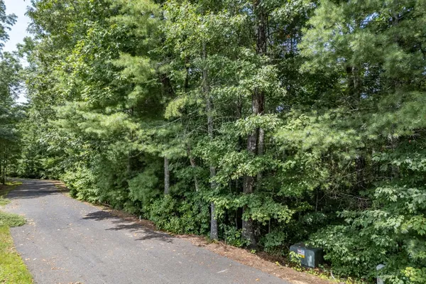 a view of a street with a tree