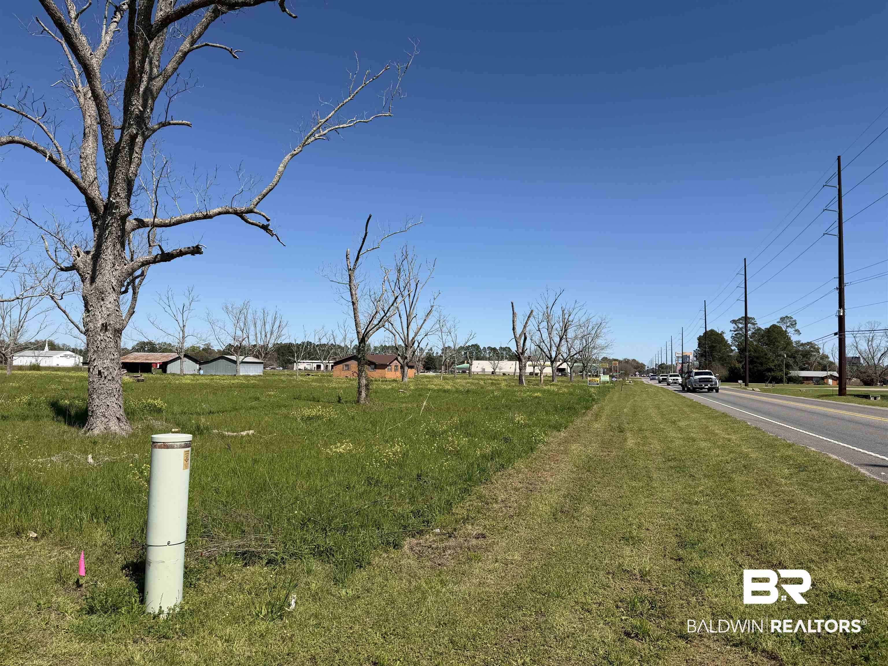 21815 Highway 98 Foley, AL 36535 - Photo 11 of 12 View of grassy yard