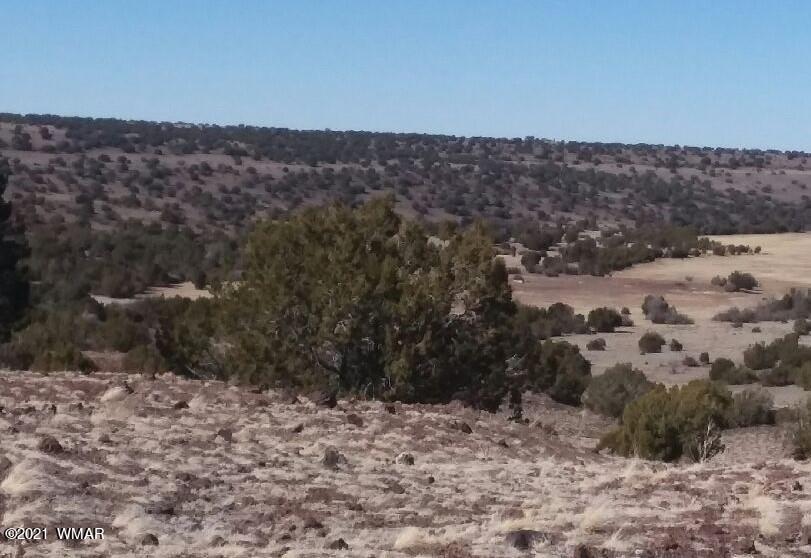 Lot 15 Bix Six Ranch Concho, AZ 85924 - Photo 2 of 12