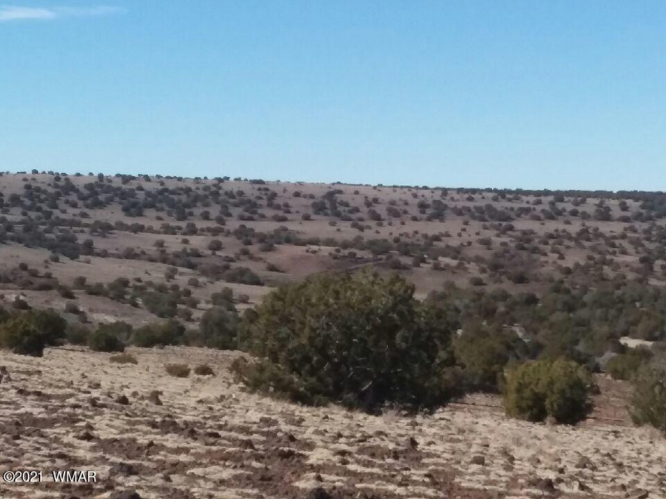 Lot 15 Bix Six Ranch Concho, AZ 85924 - Photo 3 of 12