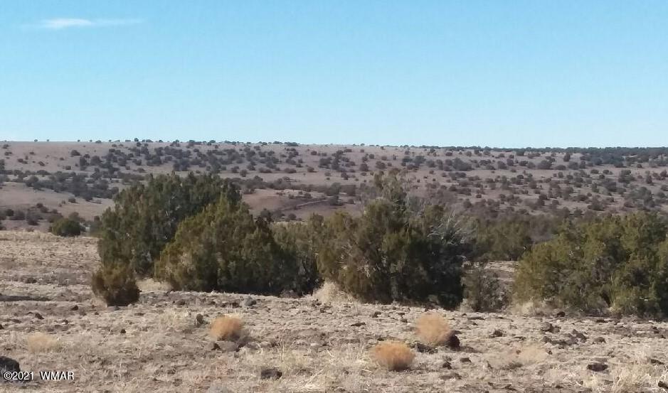 Lot 15 Bix Six Ranch Concho, AZ 85924 - Photo 4 of 12