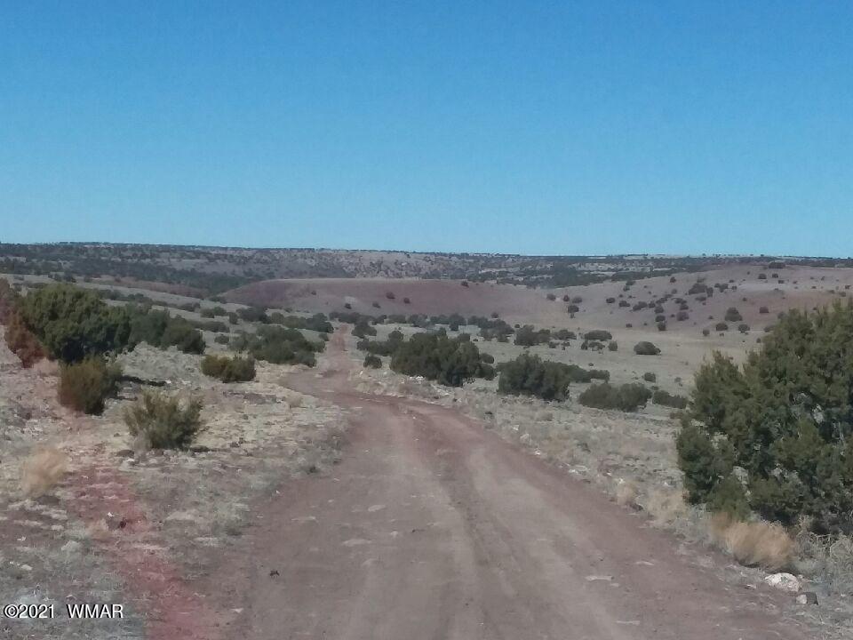 Lot 15 Bix Six Ranch Concho, AZ 85924 - Photo 5 of 12