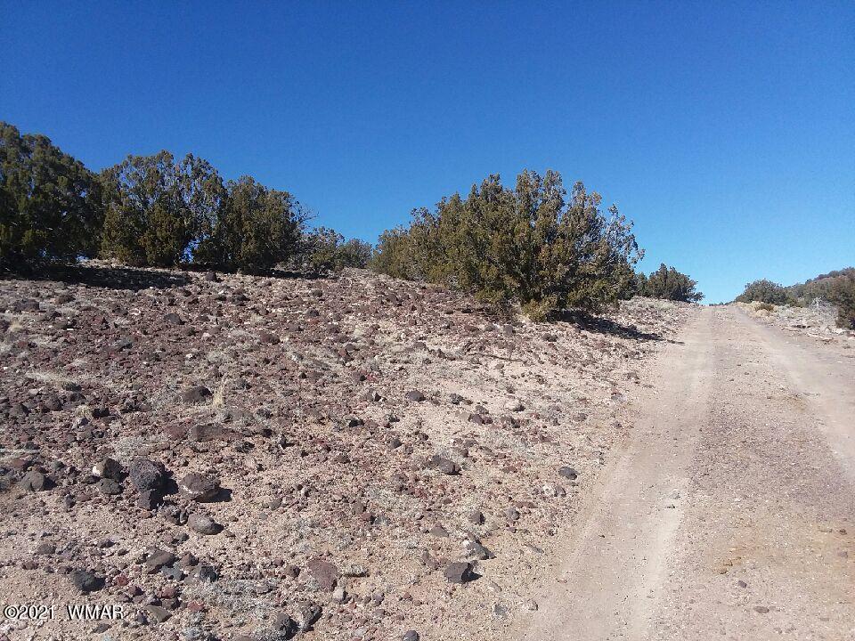 Lot 15 Bix Six Ranch Concho, AZ 85924 - Photo 6 of 12