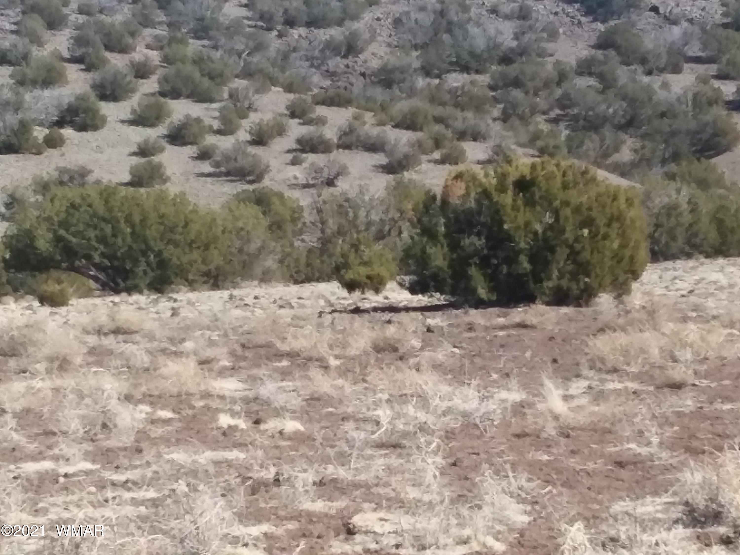 Lot 15 Bix Six Ranch Concho, AZ 85924 - Photo 7 of 12