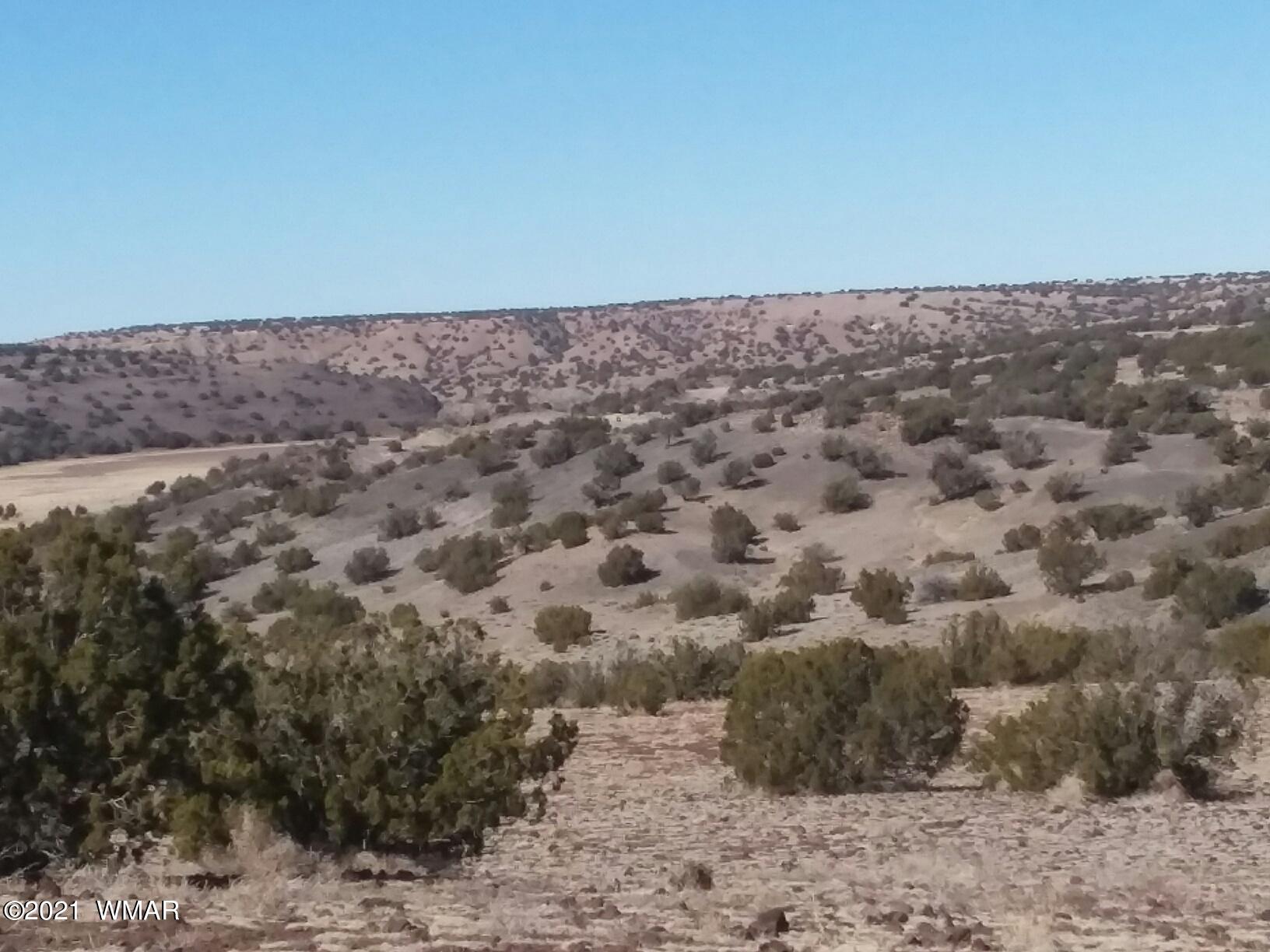 Lot 15 Bix Six Ranch Concho, AZ 85924 - Photo 8 of 12
