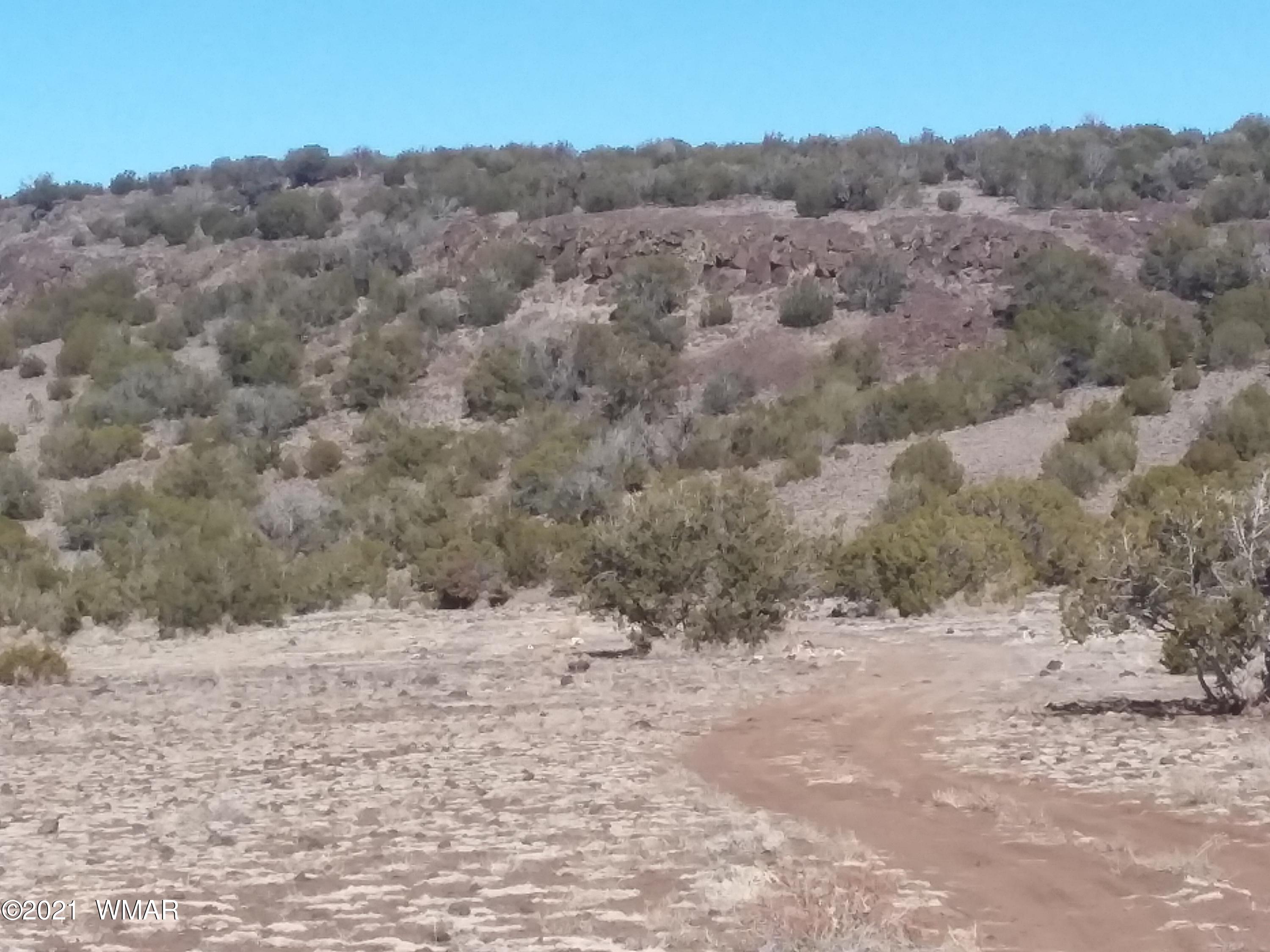 Lot 15 Bix Six Ranch Concho, AZ 85924 - Photo 9 of 12