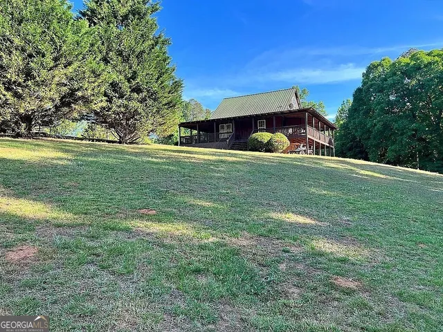a view of a trees in a yard