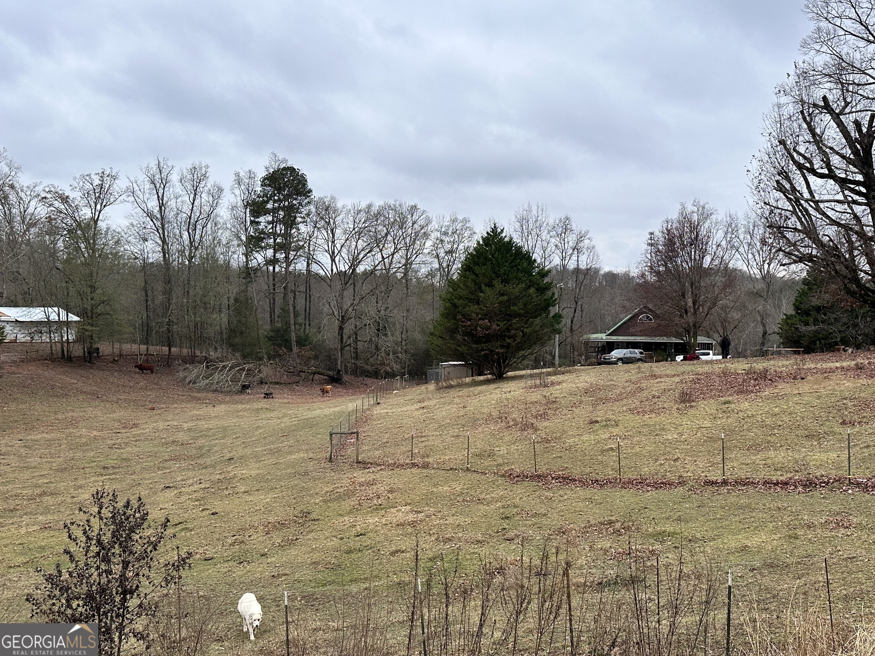 2015 Highway 59 Commerce, GA 30529 - Photo 21 of 27 a view of a backyard of the house