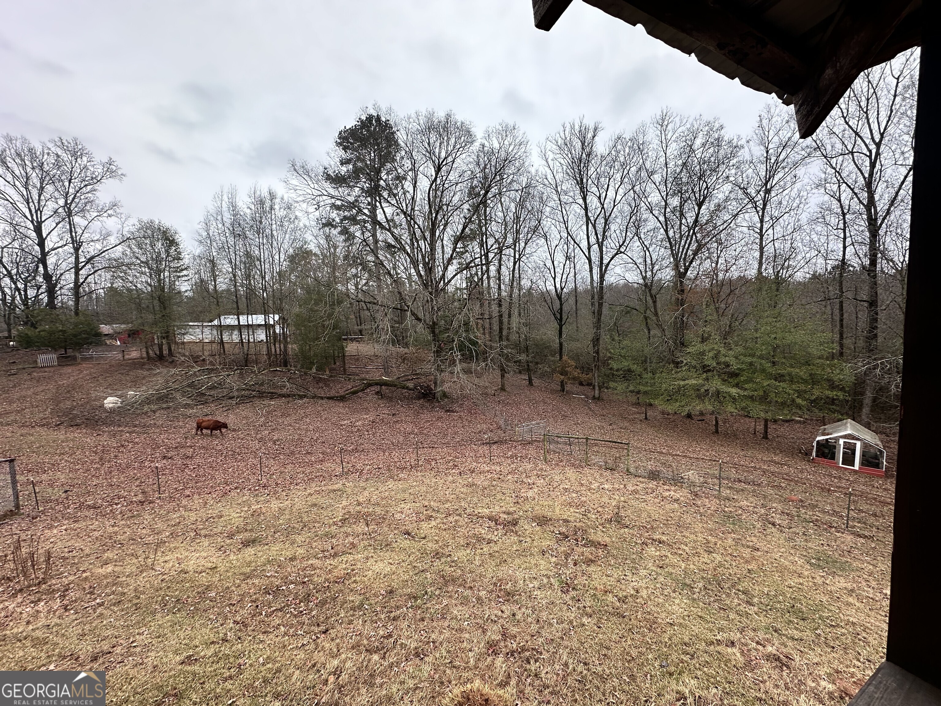 2015 Highway 59 Commerce, GA 30529 - Photo 24 of 27 a view of backyard with green space