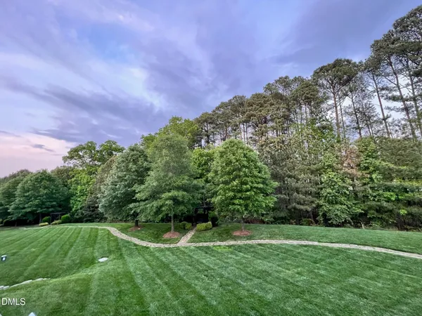 a backyard of a house with lots of green space and mountain view in back