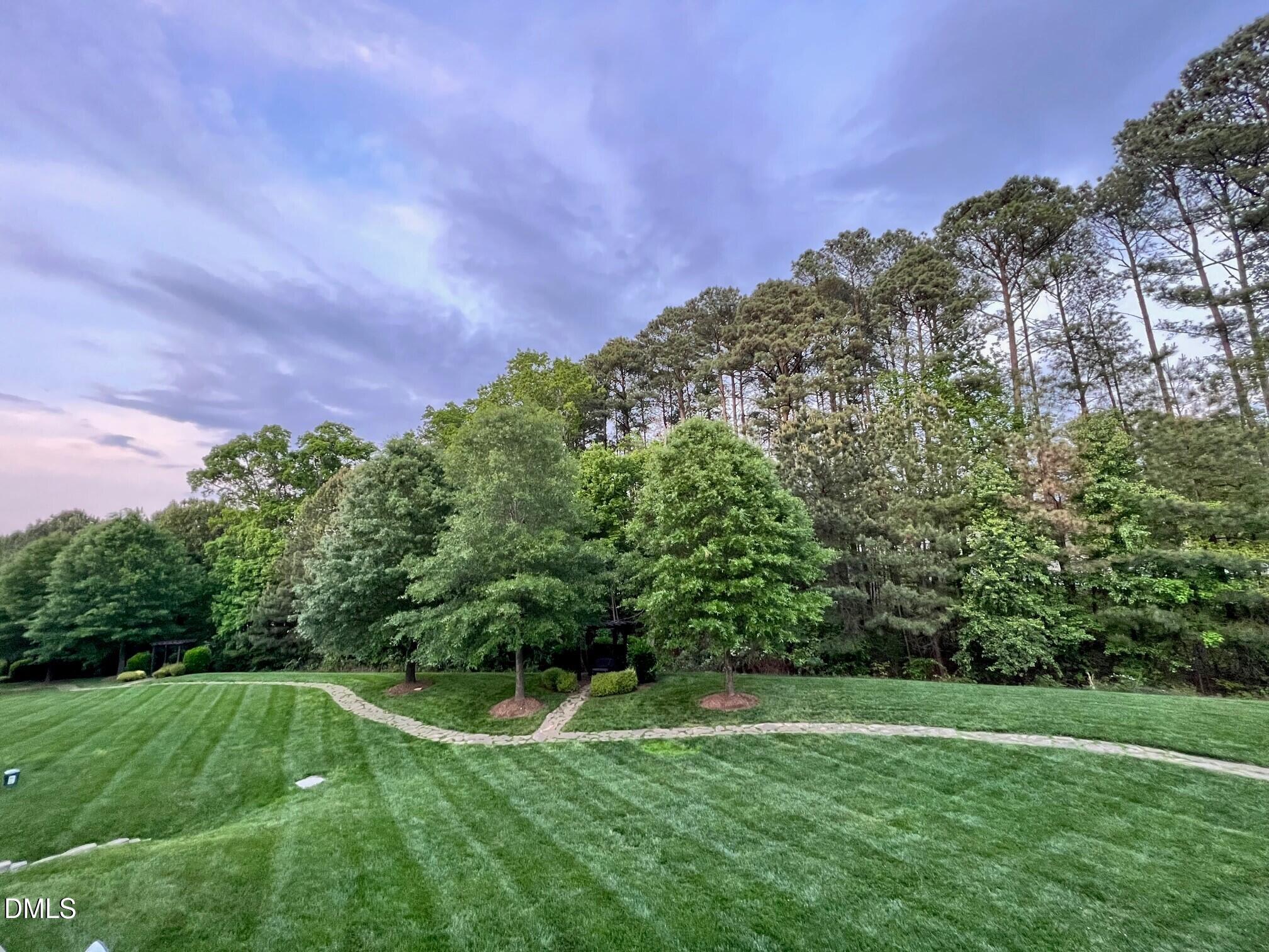 4008 Abbey Park Way Raleigh, NC 27612 - Photo 27 of 28 a backyard of a house with lots of green space and mountain view in back