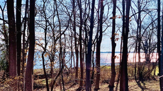 7 Church Cove Road Bristol, RI 02809 - Photo 33 of 35 View from back yard.