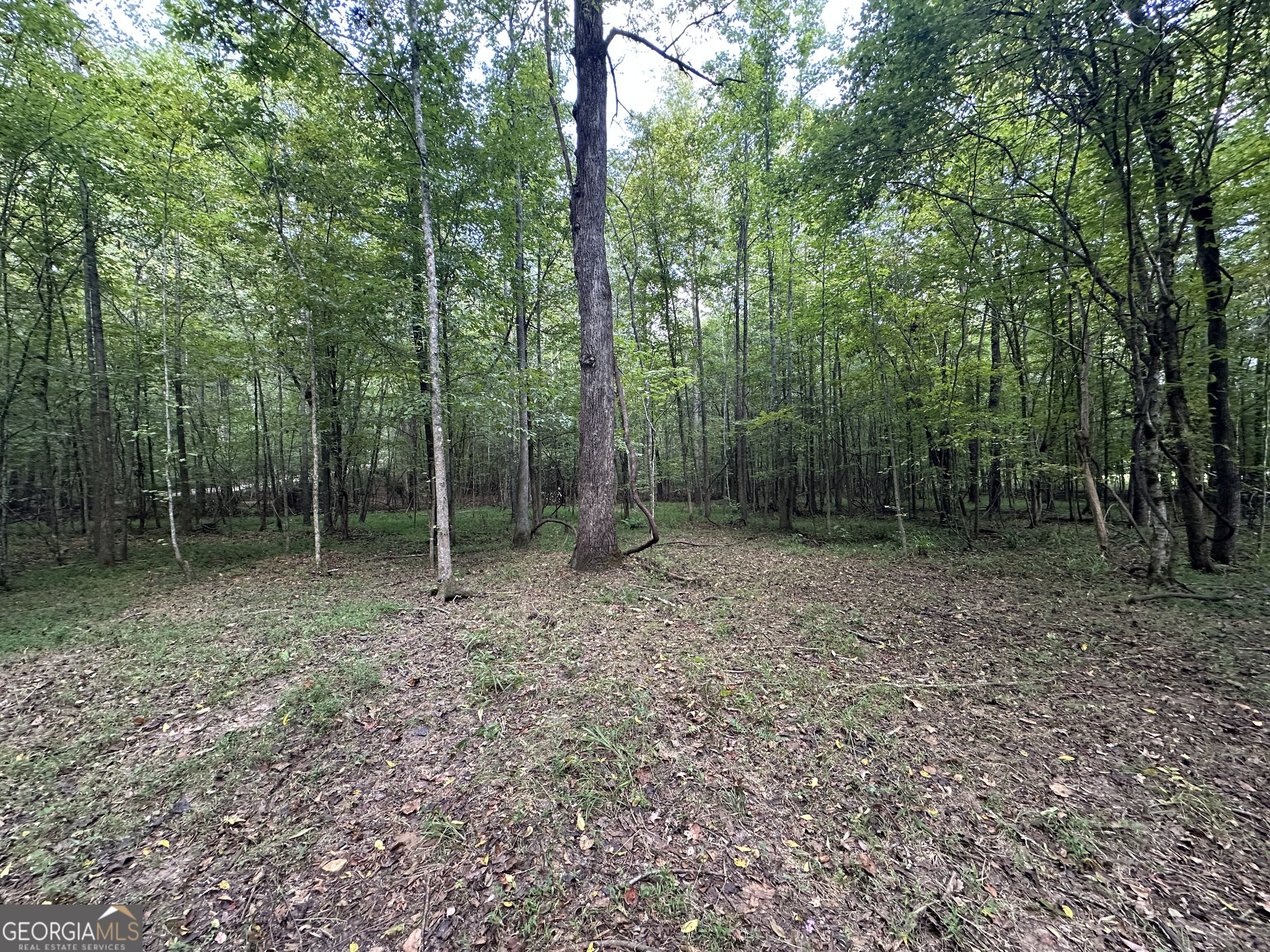 119 Hough Johnson Road Haddock, GA 31033 - Photo 11 of 39 Gallery Image 11