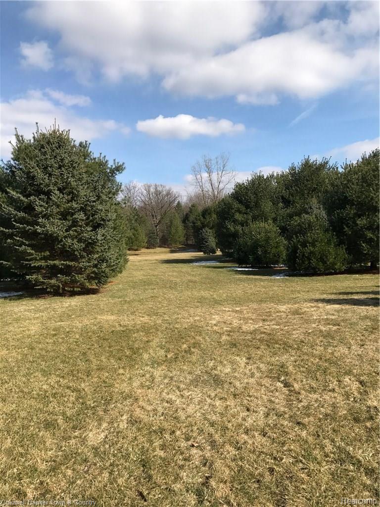 467 Gulley Road Howell, MI 48843 - Photo 29 of 42 C739EEED-8F3F-4249-B32D-E1C3988006AD.JPG