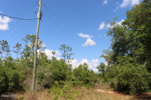 4875 Hasty Pond Road Marianna, FL 32448 - Photo 22 of 25 Gallery Image 22