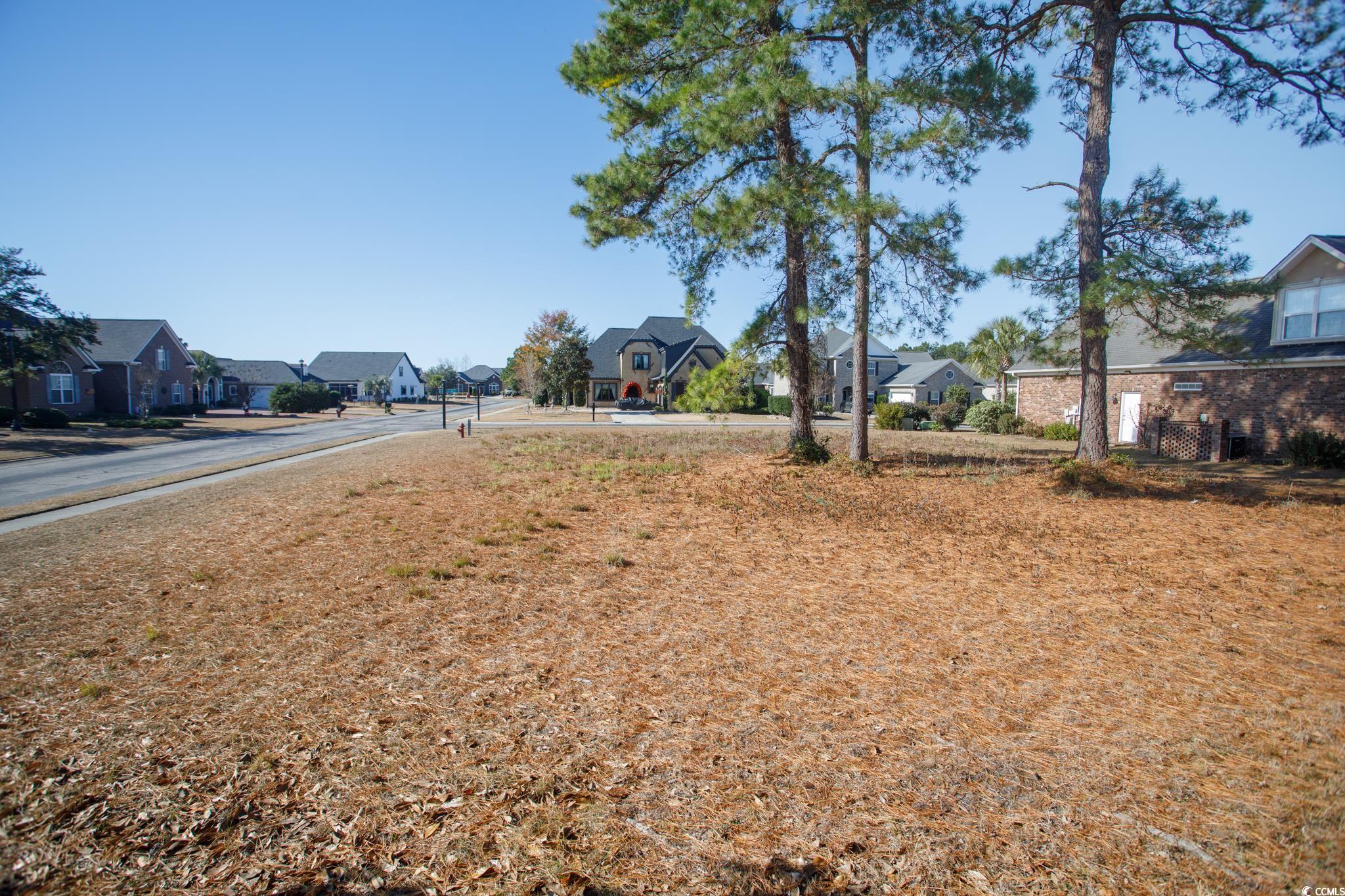 100 Ocean Sands Court Myrtle Beach, SC 29579 - Photo 9 of 20