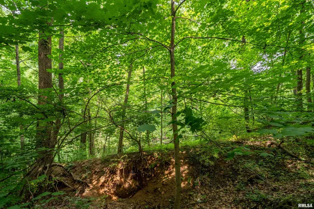 $25,000 | 8 West Harp Hollow Road, Peoria, IL 61607