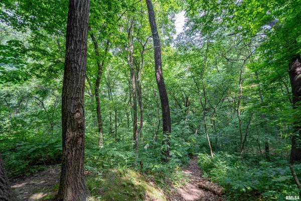 $25,000 | 8 West Harp Hollow Road, Peoria, IL 61607