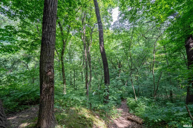 $25,000 | 8 West Harp Hollow Road, Peoria, IL 61607