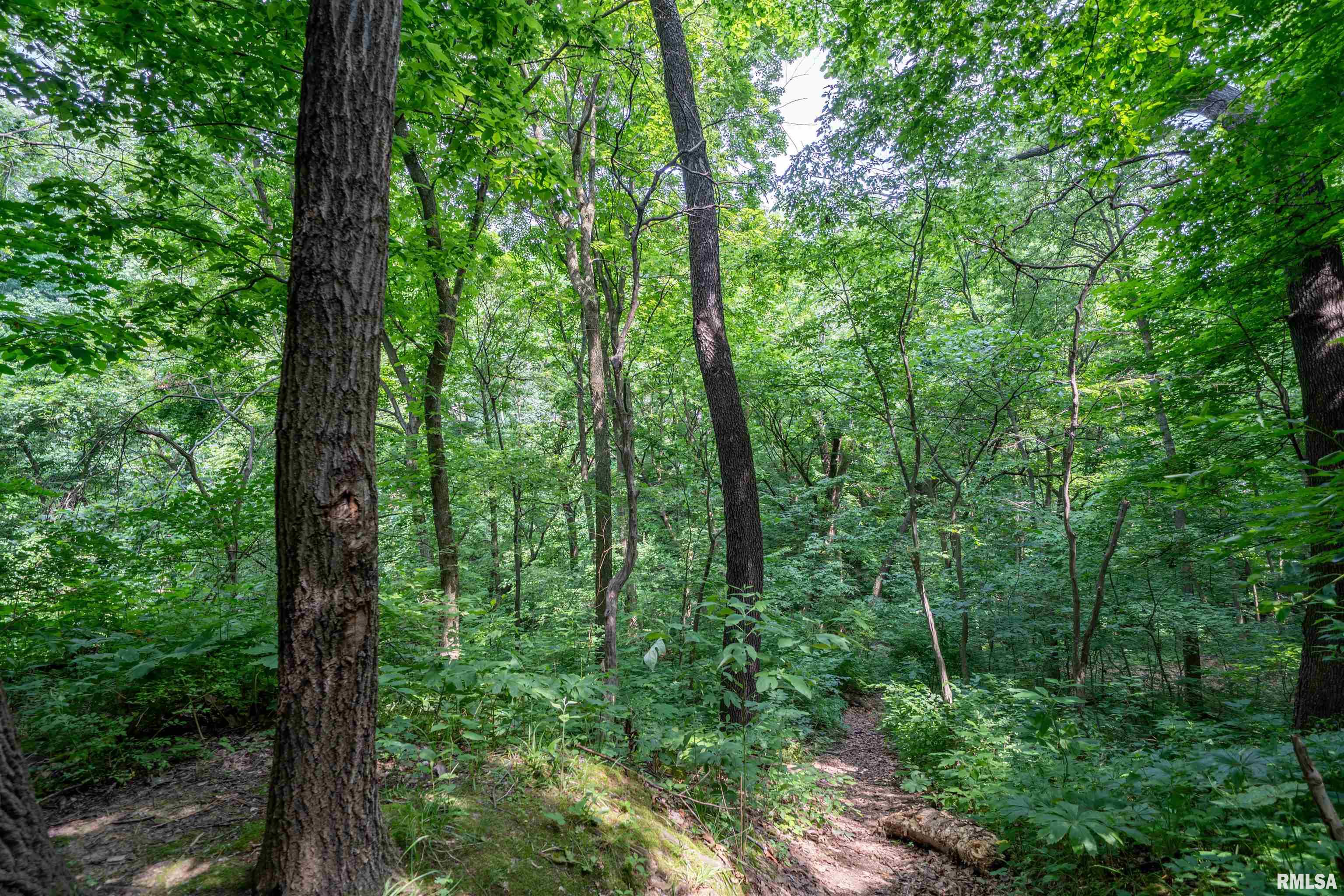 8 West Harp Hollow Road Peoria, IL 61607 - Photo 4 of 6