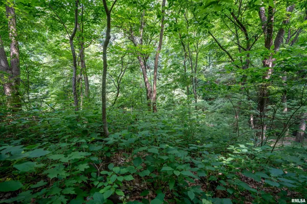 $25,000 | 8 West Harp Hollow Road, Peoria, IL 61607