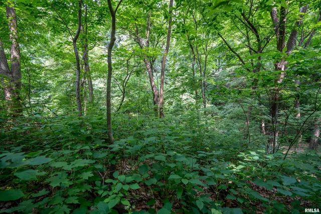 $25,000 | 8 West Harp Hollow Road, Peoria, IL 61607