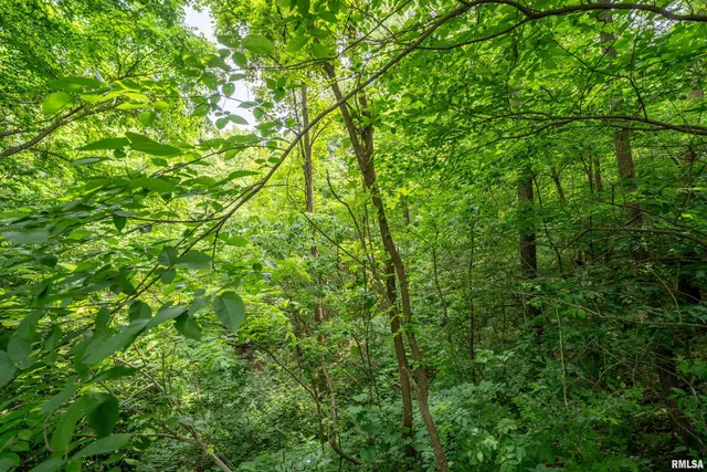 $25,000 | 8 West Harp Hollow Road, Peoria, IL 61607