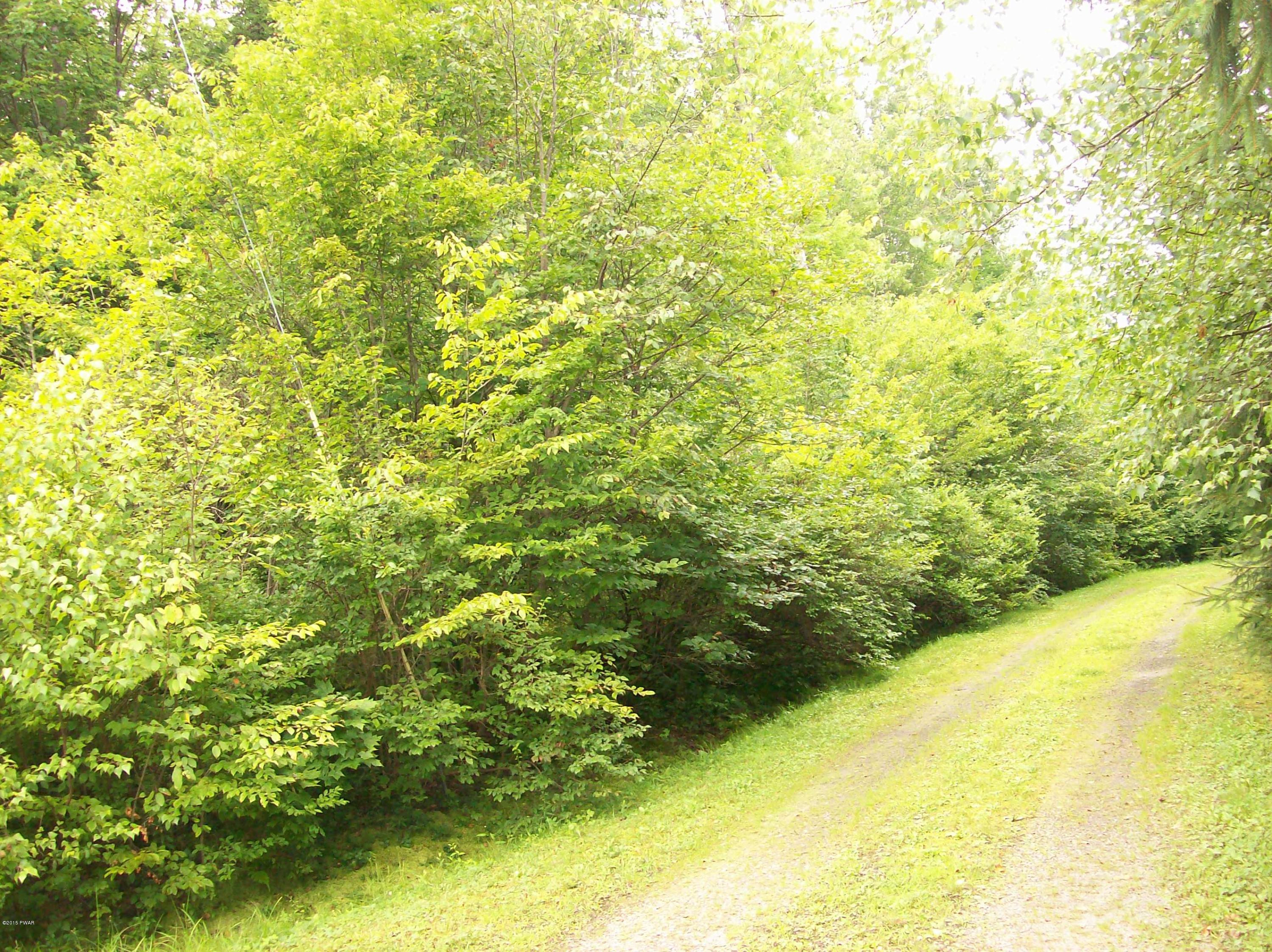 Hempstead Lake Road Starlight, PA 18461 - Photo 1 of 3