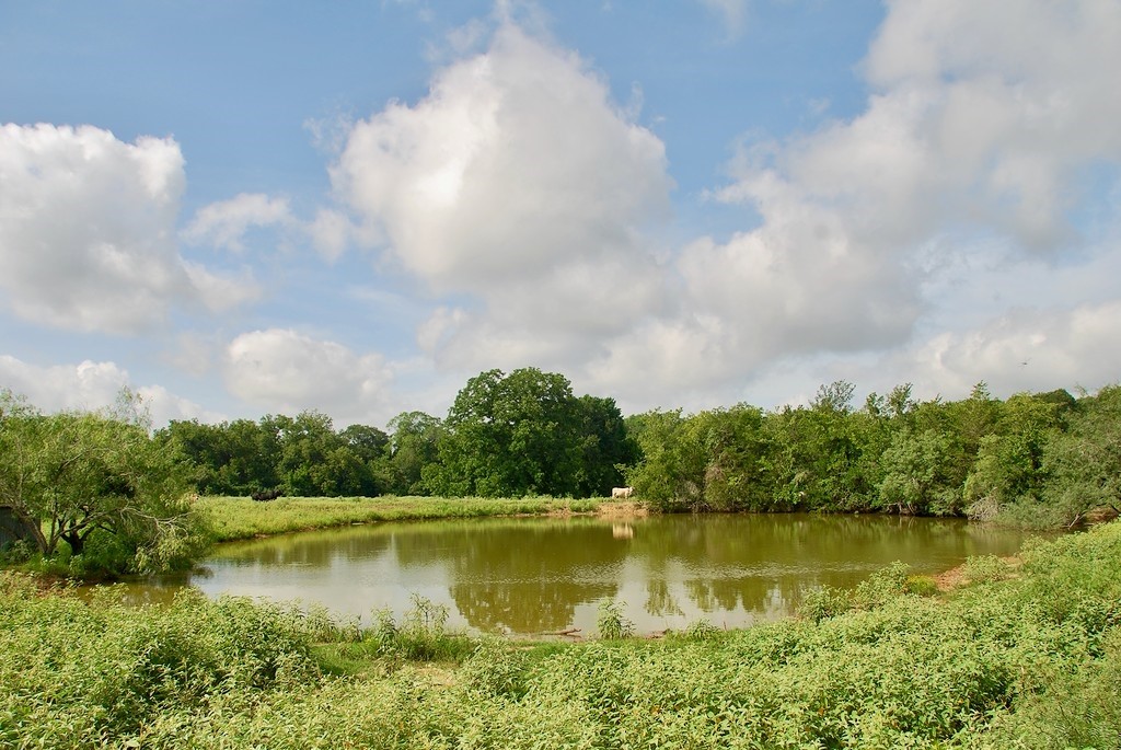 9590 Maynard Hallmark Road Flatonia, TX 78941 - Photo 11 of 31