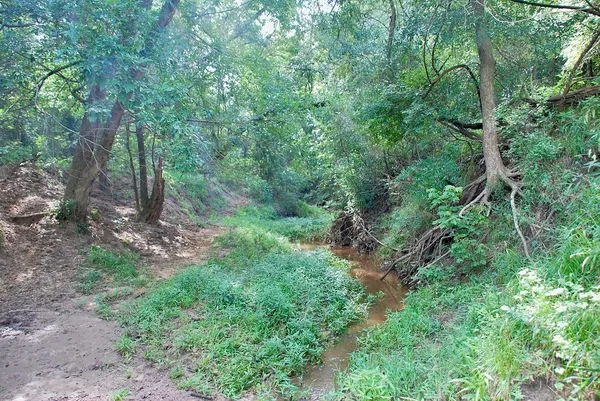 a view of outdoor space and trees