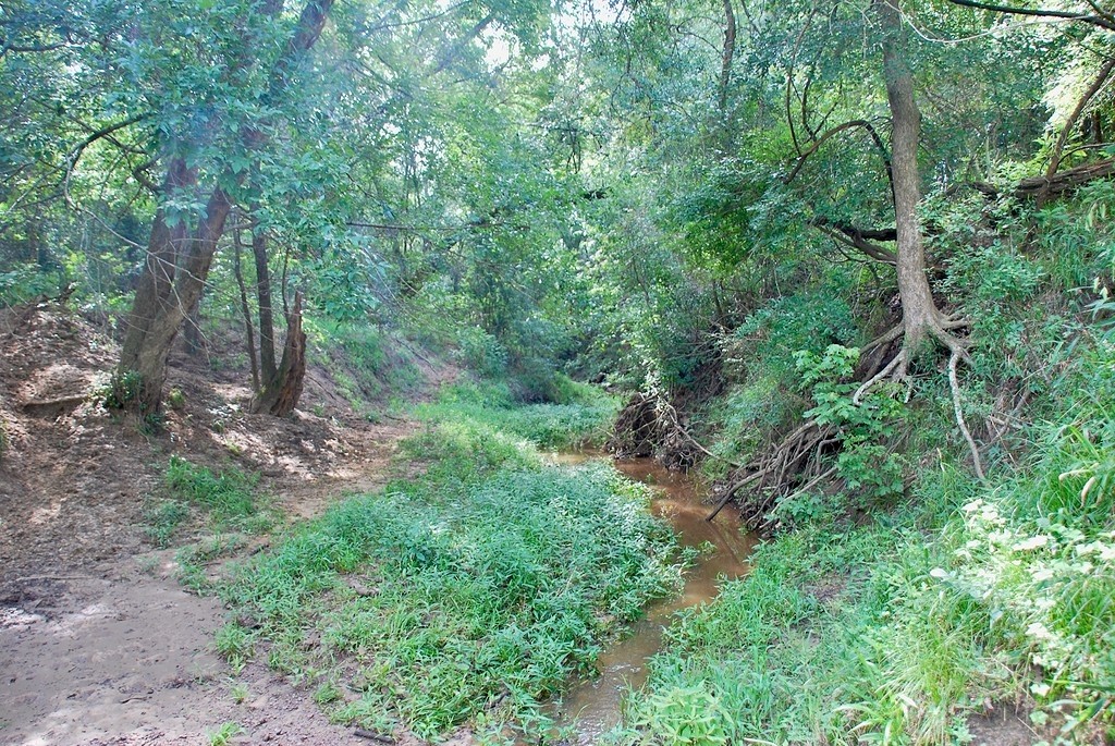 9590 Maynard Hallmark Road Flatonia, TX 78941 - Photo 19 of 31 a view of a forest with lots of trees