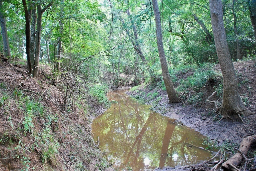9590 Maynard Hallmark Road Flatonia, TX 78941 - Photo 21 of 31 a view of outdoor space and trees