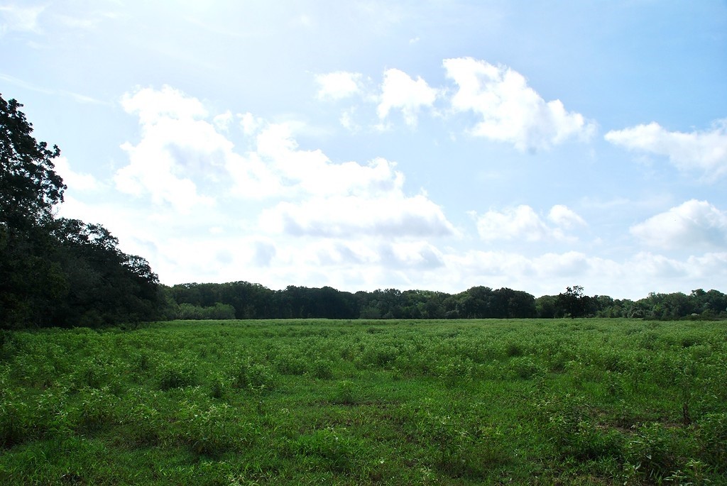 9590 Maynard Hallmark Road Flatonia, TX 78941 - Photo 22 of 31 a view of a city with lush green forest