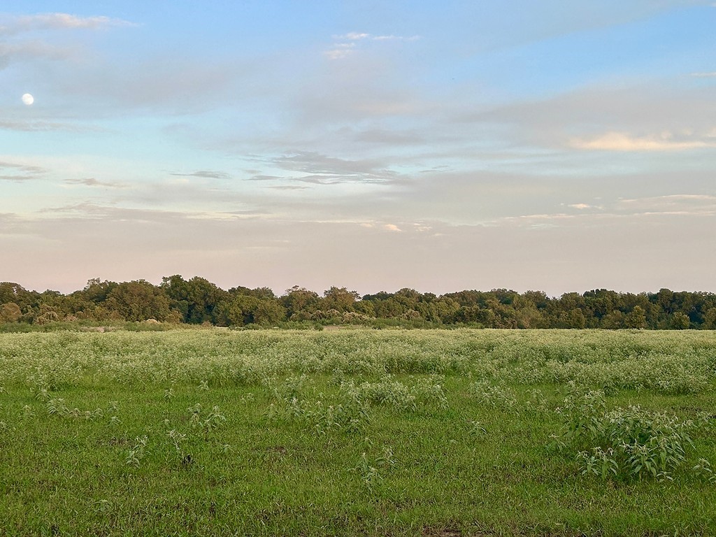 9590 Maynard Hallmark Road Flatonia, TX 78941 - Photo 23 of 31 a view of an outdoor space and a yard