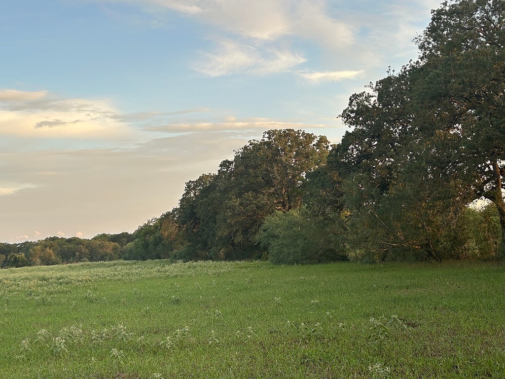 9590 Maynard Hallmark Road Flatonia, TX 78941 - Photo 25 of 31 a view of an outdoor space and a yard
